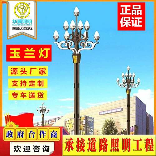 厂家定制8-12米LED玉兰灯户外中华灯广场景观道路照明大型异型灯