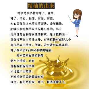 正品 葡萄籽油基油络精础油面部全身体按摩通刮痧推拿开背美经容院