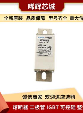 现货170M1809170M5616直流快速熔断器库存充足 型号齐全 标准封装
