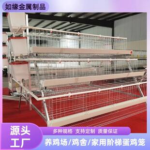 阶梯蛋鸡笼四层四门镀锌蛋鸡笼养殖场养殖设备家用A字型蛋鸡笼