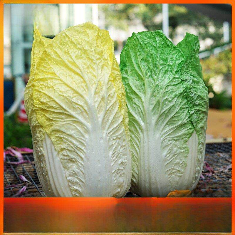 全新超大白菜道具软装柜展示模拟蔬菜宝宝盘模型教具田园装饰