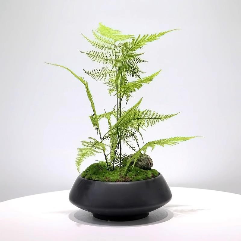 新中式仿真绿植盆景样板房客厅茶几售楼处玄关植物文竹盆栽摆件