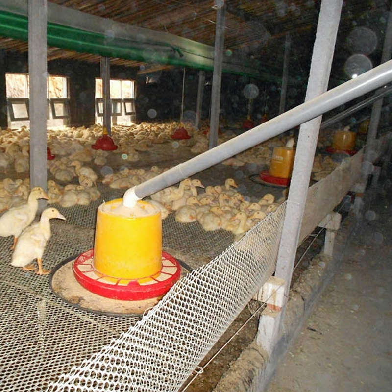 水线绞龙养殖场机线配件线简易自动线料料全自动喂料自动养鸡场料