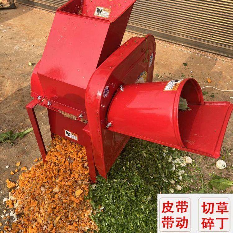 不锈钢切草切丁组合机家用小型220v瓜果切丁机鸡鸭打猪草机剁草机