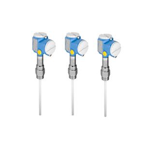 瑞士E 电容物位计 型号FMI51 A1BGDJB2A1A H恩德斯豪斯