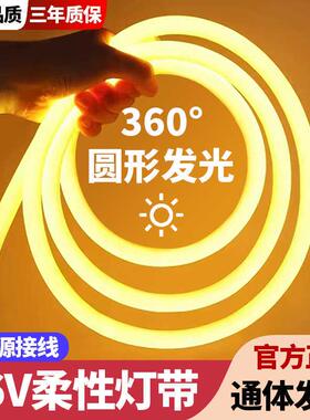 低压36v圆形灯带led超亮建筑工地隧道地下室工程亮化户外防水灯条