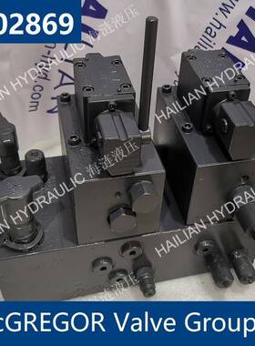 MACGREGOR Valve Group A202869麦基嘉舱盖阀组液压备件shipspare