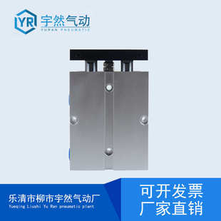 15X30X40X50X60X70X80X100 10双轴双杆TN16气缸20小型气动25x32