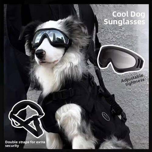 陨石边界牧羊犬护目镜防风和防紫外线头饰太阳镜大太阳镜宠物滑雪