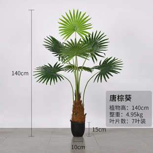 地装饰蒲葵橱窗蒲绿阳台叶落植物假唐仿真棕榈摆设棕室内庭院造景