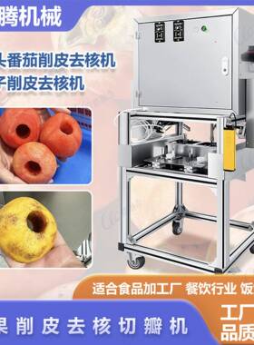 梨子去皮取芯切瓣机新疆阿克苏苹果削皮三合一设备番茄自动削皮机