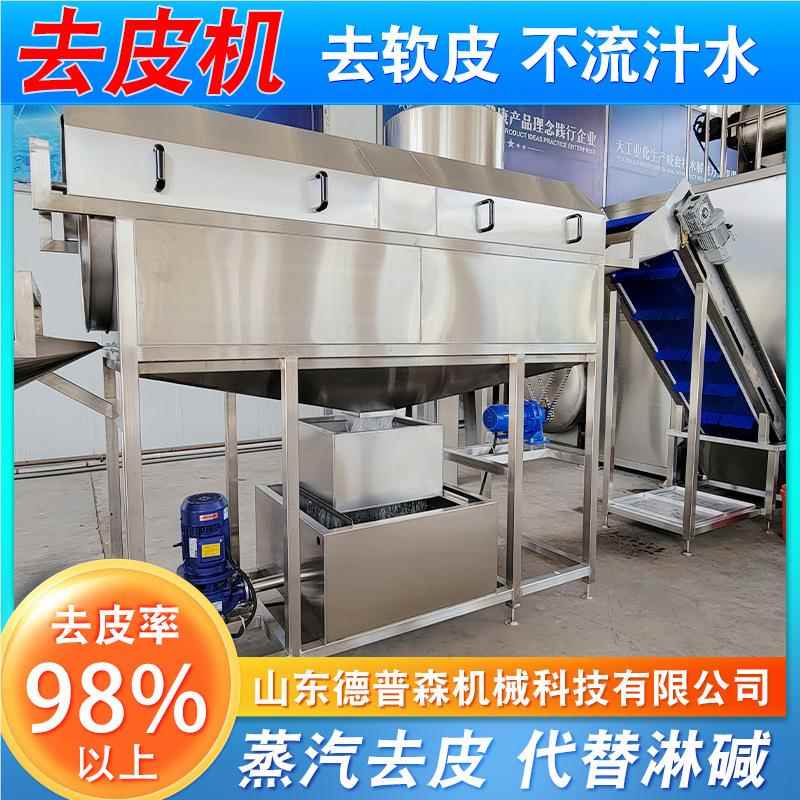 商用多功果蔬椒辣椒小型蒸汽去皮设备 不钢大枣红甜菜青蒸汽去能