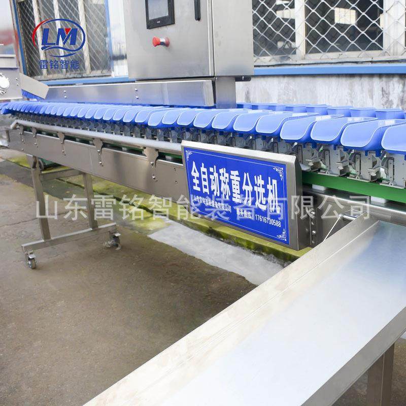 掌鸡胸肉LLJ分 选分级机柑橘苹果人参高精度鸭重分选机称 土豆分,五金/工具,其他包装设备,淘宝优惠券,粉丝福利购,淘宝优惠卷