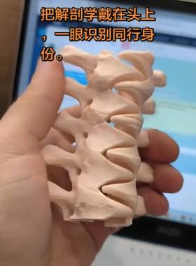 人体解剖学颈椎骨骼发夹小众个性脊椎模型发卡医学生骨头抓夹头饰