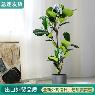 仿植物盆栽琴叶榕假真植大型123 6098盆景饰室绿内落地摆件家居装
