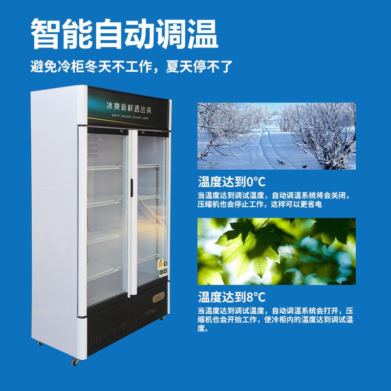 饮展示柜冷藏保料鲜柜冰箱商超用立式柜单门双门Z1便利店市冷藏冰