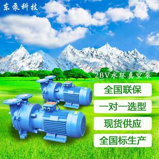 抽气环2BV真空泵 山东东泵直连水环真空URI泵液循式
