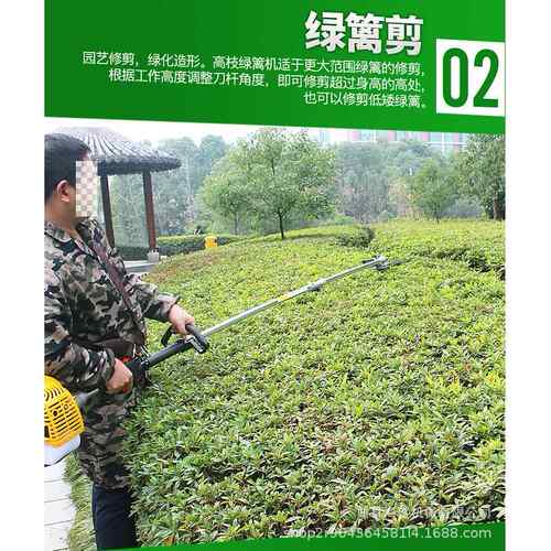 高园高林绿化管理枝剪打汽油枝HS-GZ锯高树枝机