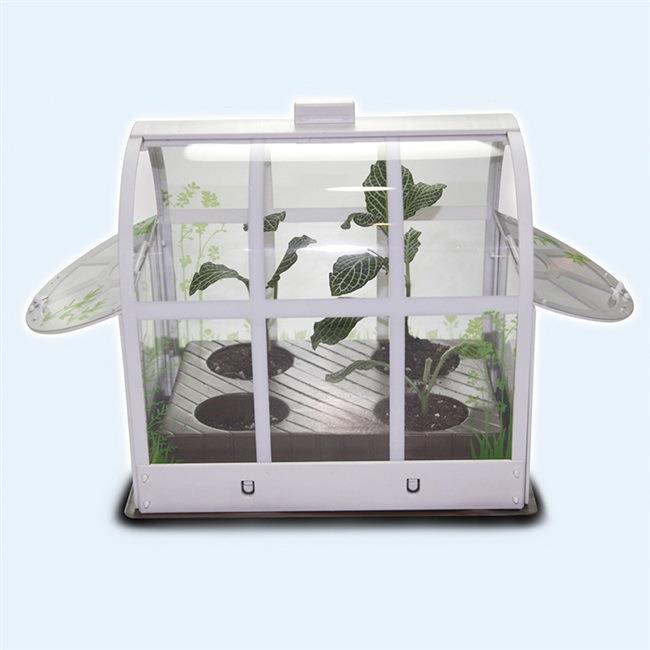 科学小温室材料科学实验植物小学生手工儿童种植箱生态温室学校