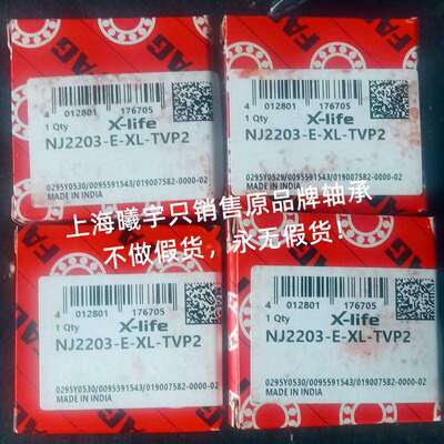 德国圆柱滚子轴承NJ2203-E-XL-TVP2 NJ2204-E-XL-TVP2等现货