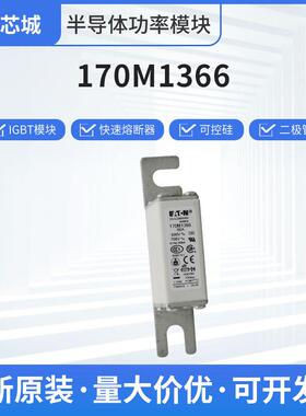 巴斯曼170M1366人防熔断器现货