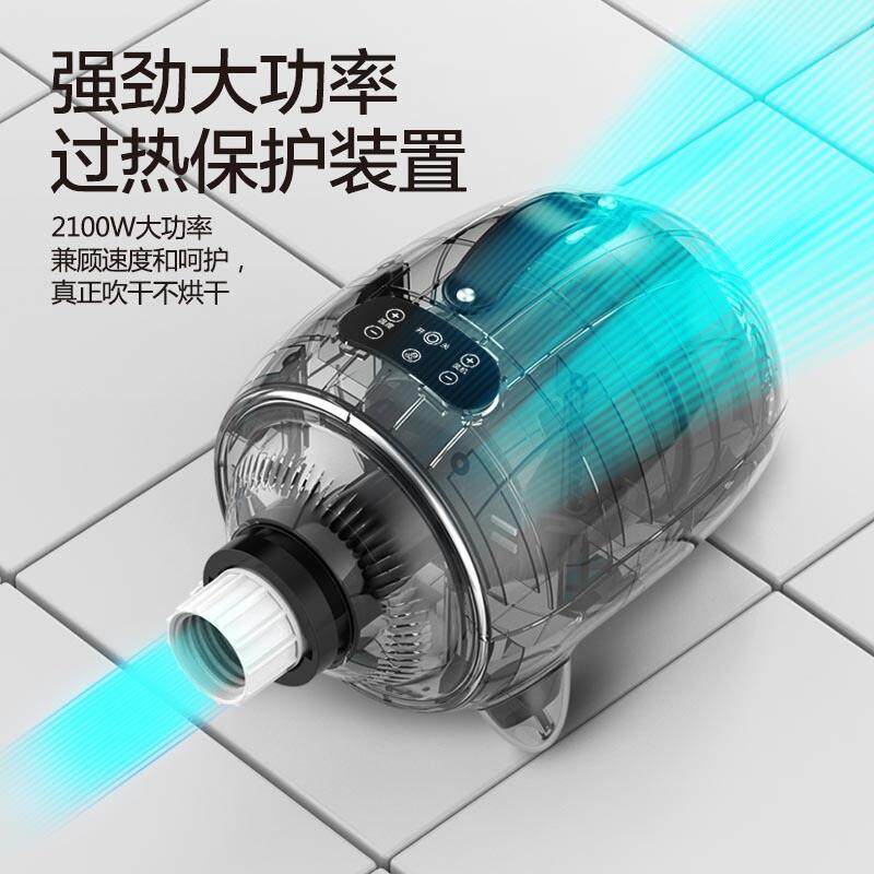宠物吹水机家用狗大功率宠物狗吹风机速干低噪音大型犬金毛烘干机
