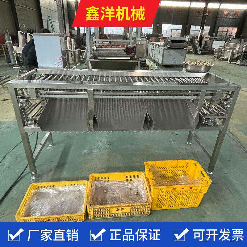 砂糖橘高低杠分级机器大枣李子桃子选果机西梅干分选加工设备
