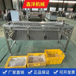 砂糖橘高低杠分级机器大枣李子桃子选果机西梅干分选加工设备