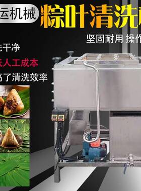 全自动芭蕉叶清洗机荷叶毛辊洗叶机粽子叶双面毛刷清洗设备厂家