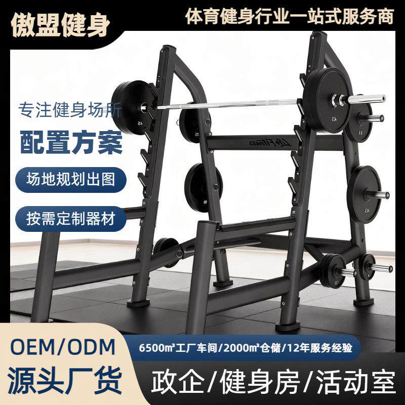 上斜水平下斜训练椅坐式推肩训练椅训练椅杠铃片挂架深蹲练习