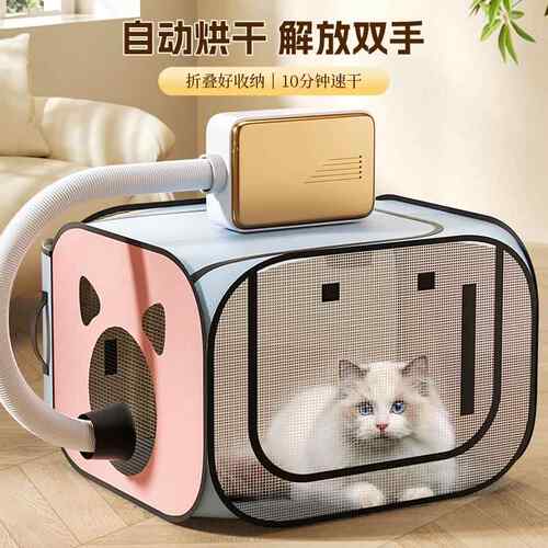 猫咪烘干 干箱吹干 干宠物洗澡家用洗猫吹风机狗狗小型折叠吹毛专