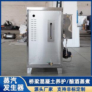小型电加热蒸汽锅炉辊筒反应釜加热豆浆酿酒04不锈钢蒸汽发生器
