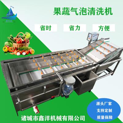 大枣板栗喷淋式气泡洗菜机黄桃去农残果蔬清洗设备不锈钢清洗机