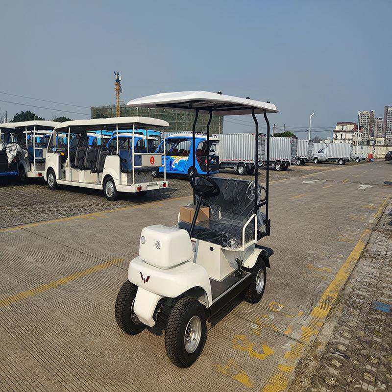 4座电动高尔夫T50旅游景点观光车楼盘看房旅游接待观光车