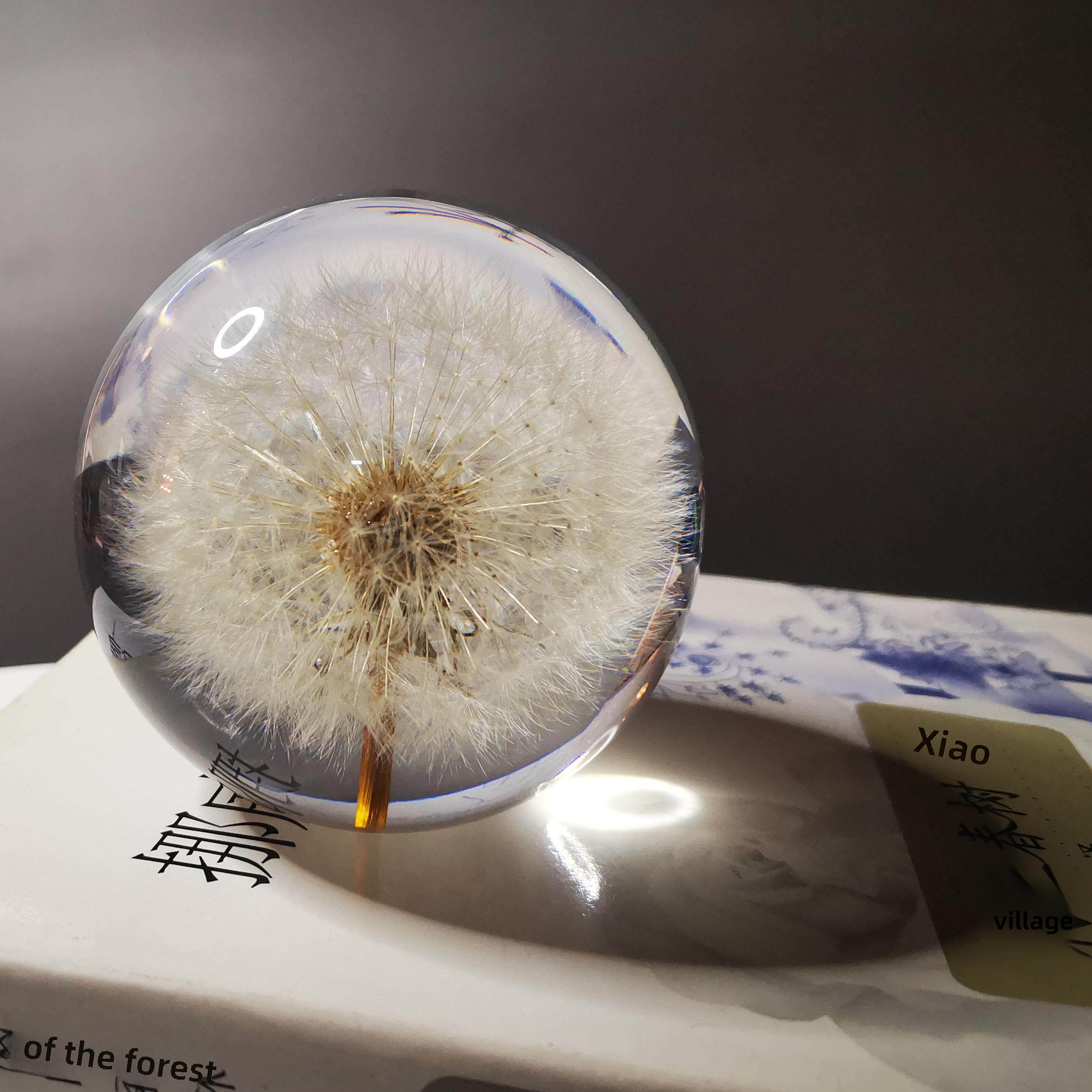 蒲公英和雏菊标本不朽花树脂水晶球入口装饰创意家庭圣诞礼物