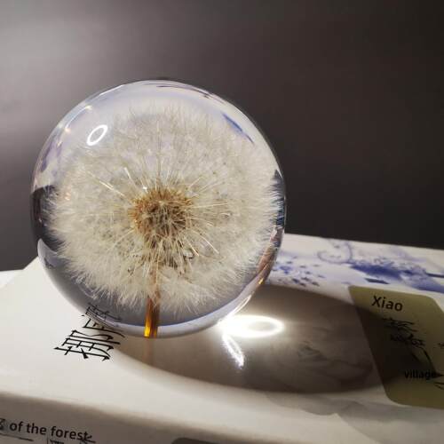 蒲公英和雏菊标本不朽花树脂水晶球入口装饰创意家庭圣诞礼物