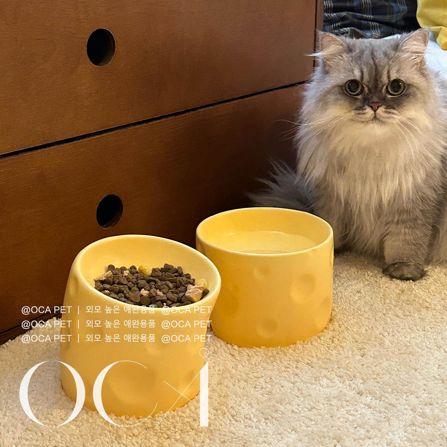 OCA芝士奶酪猫碗陶瓷防打翻斜口狗碗保护颈椎宠物用品盆饮水饭碗图片