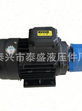 BB-B6JZ-1摆线油泵电机组BB-B10JZ/BB-B4JZ-1上海东高BB-B16NJZ-1