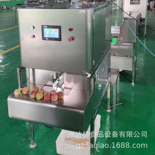 DQ达桥工业型智能水果桃子削皮去核机黄桃去皮切瓣机水蜜桃刨皮机