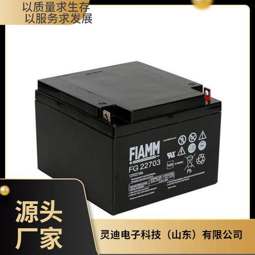 FIAMM蓄电池12SP205 12V205AH直流屏 UPS不间断电源