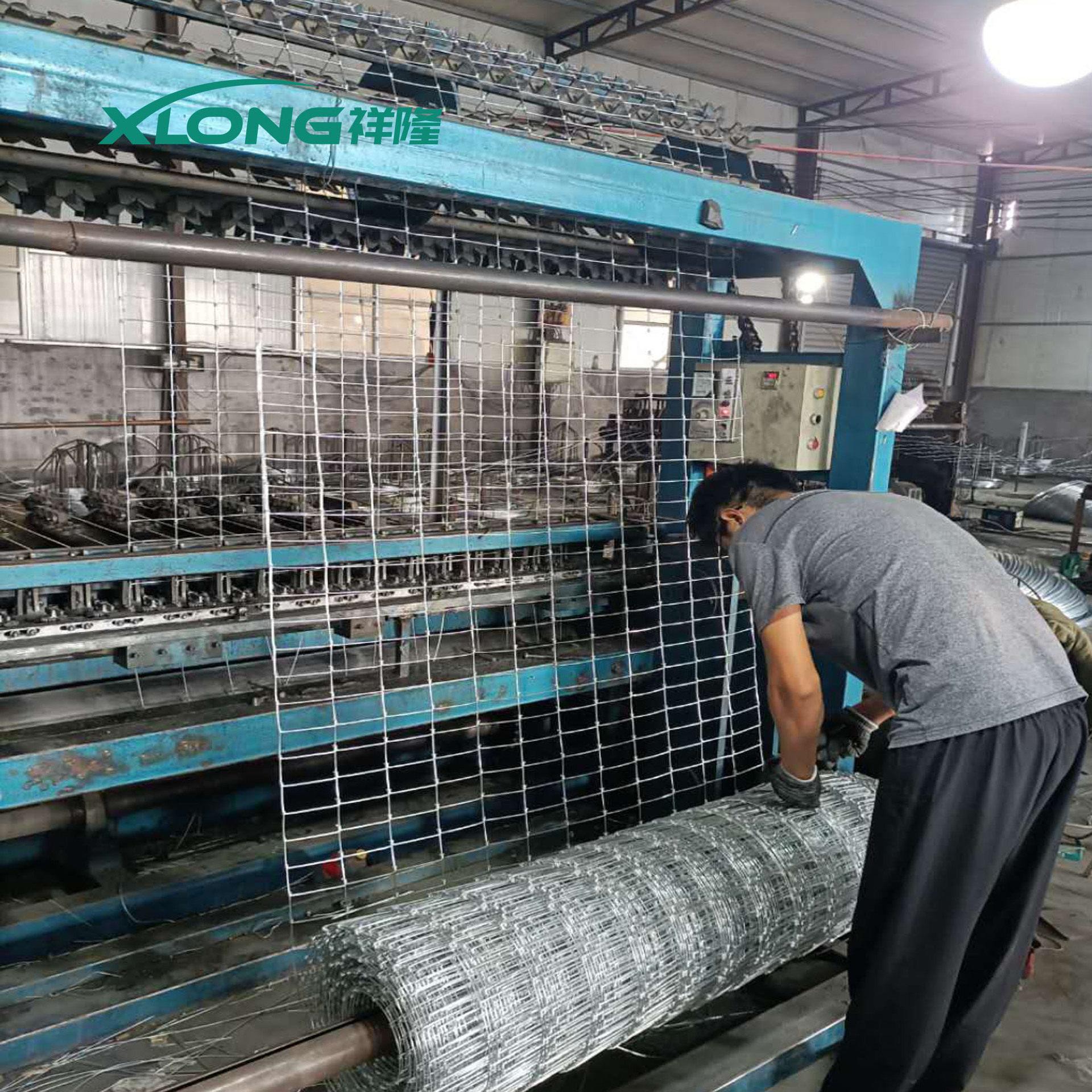 草原牧场围栏网 养殖羊牛鹿鸡隔离铁丝网围栏 草原牛栏网