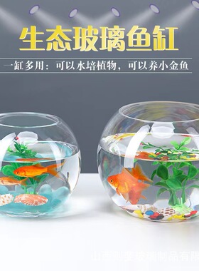 玻璃水办公室大号培植花盆花瓶