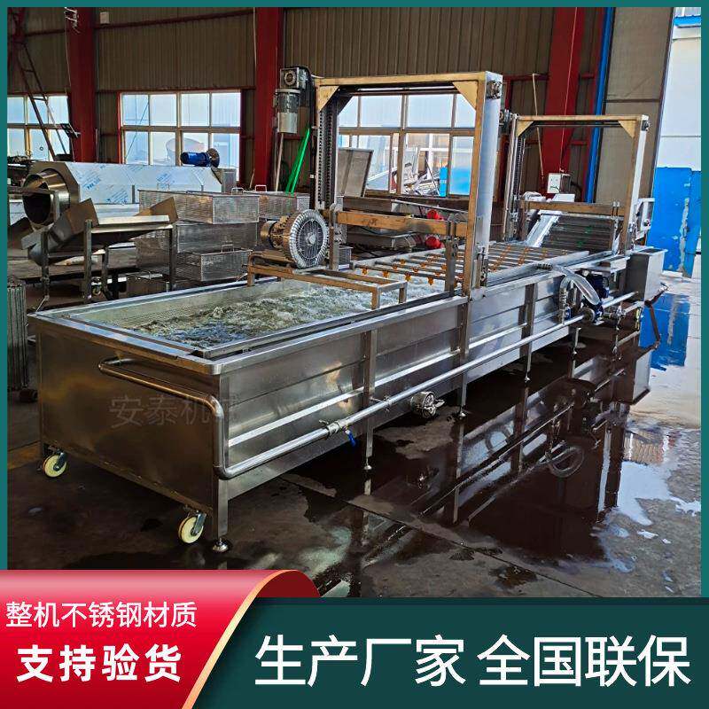 果蔬气泡清洗机 速冻蔬菜气泡翻浪清洗机 银耳清洗蒸煮加工设备