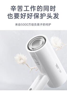瑞普乐RH1501折叠式吹风机57度恒温舒适护发吹风筒冷热双档电吹风