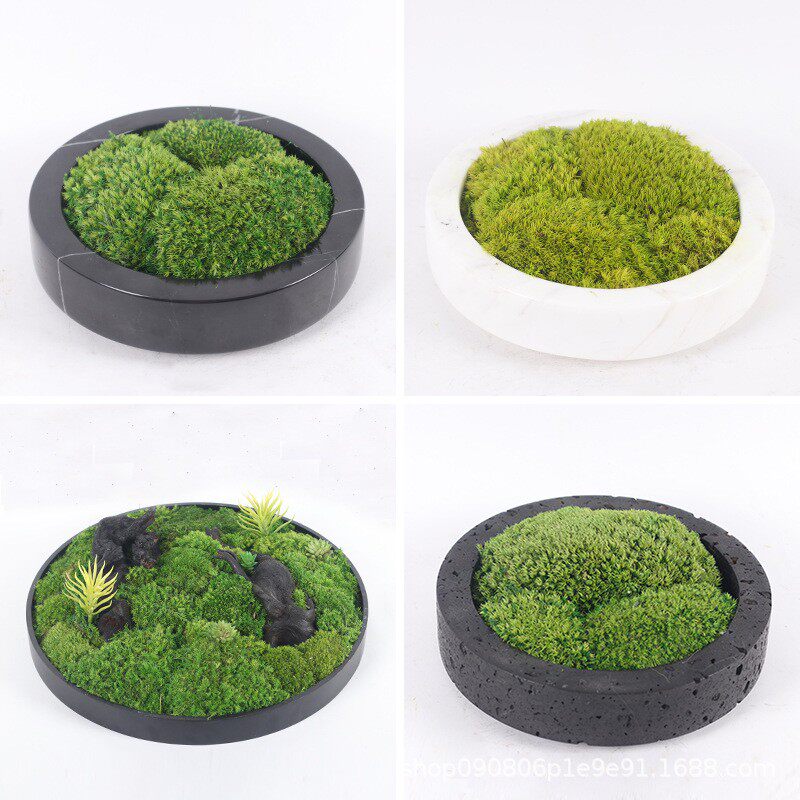 新中式仿真绿植永生青苔藓大理石花器小盆景茶几洽谈桌面植物花艺