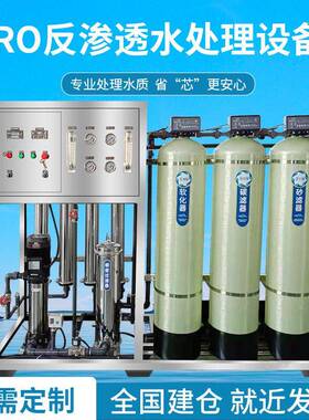工业反渗透纯水设备食品生产反渗透净水设备自来水井水反渗透设备