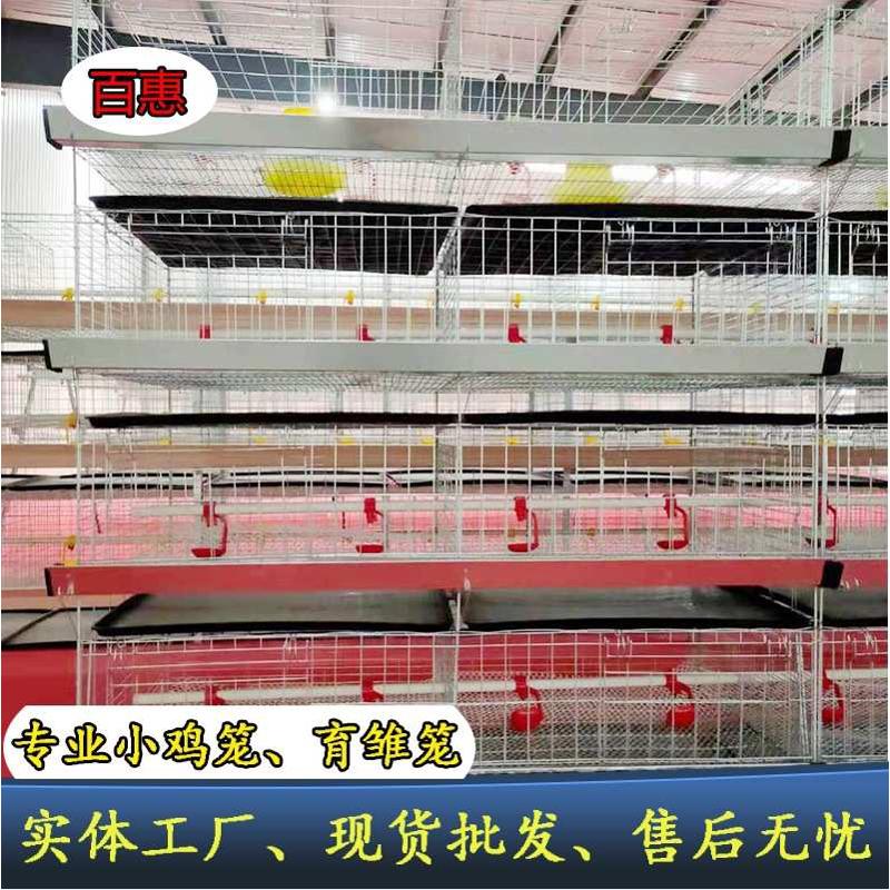简易四层立体育雏笼小鸡笼 畜牧专业养鸡设备 镀锌防锈鸡笼子