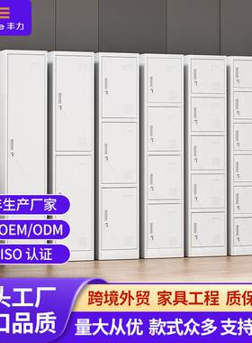洛阳销售更衣拆装储物柜宿舍员工柜加厚钢板更衣柜单体柜鞋柜