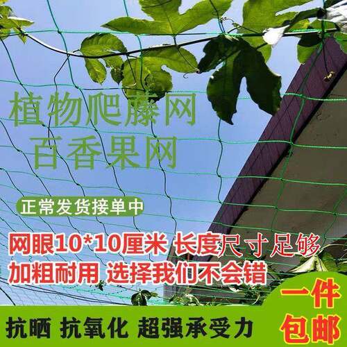 爬栏藤网攀护爬保网防鸟VEQ园艺种植网爬藤架家网禽养殖网养鸡网