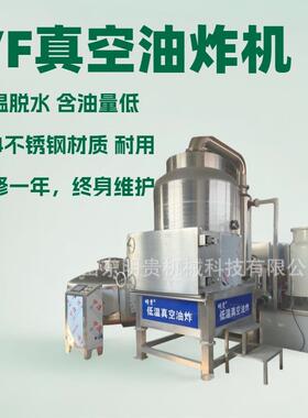 果蔬低温加工设备 vf西兰花脆真空脱水机 食品真空油炸机